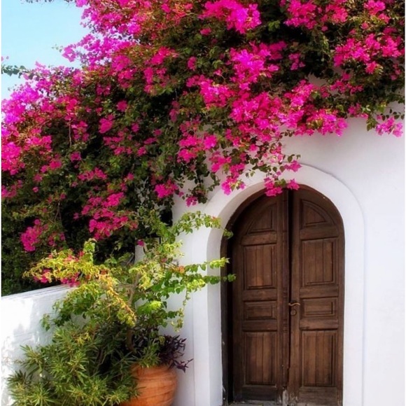 Meet your Posher, Joan - Picture 2 of 2